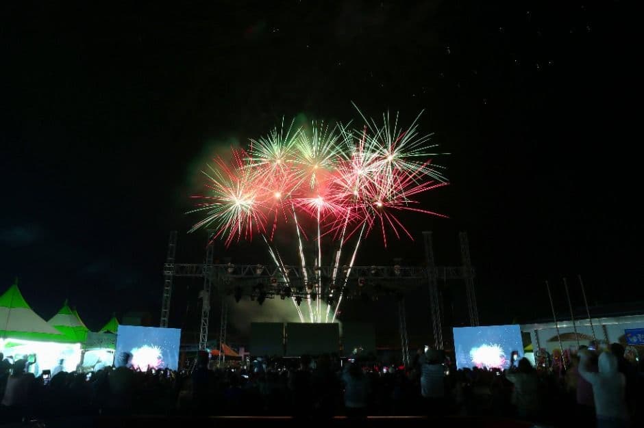 [5월 축제]2025 장항항 수산물 꼴갑축제❘기간, 일정, 프로그램 및 공연 정리
