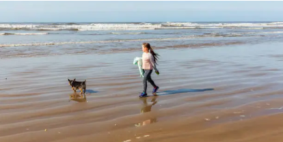 해변에서 아이와 강아지가 산책하는사진