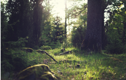 금융업계의 지속가능한 미래, 전환금융에 대하여