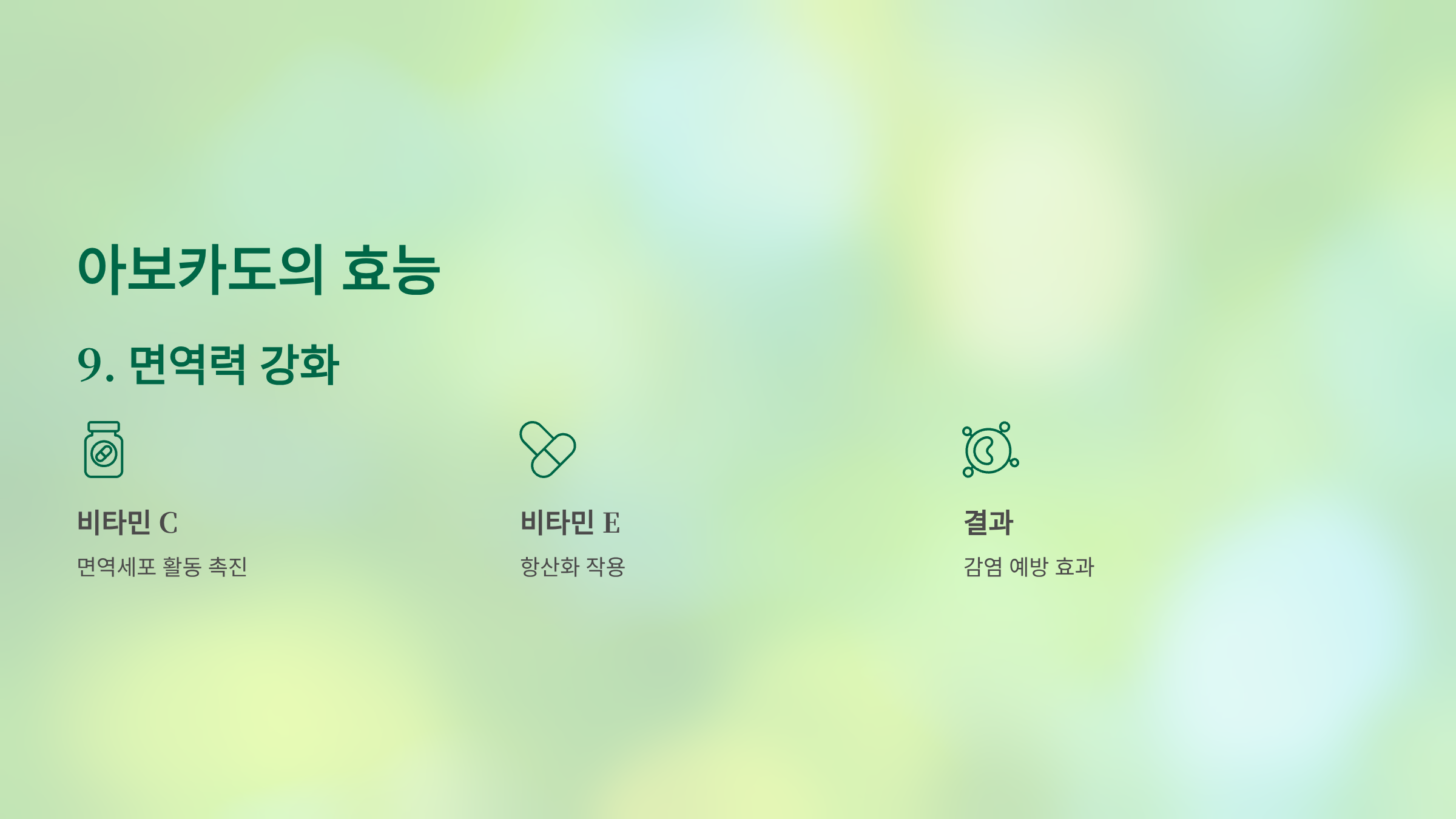 아보카도 사진입니다.