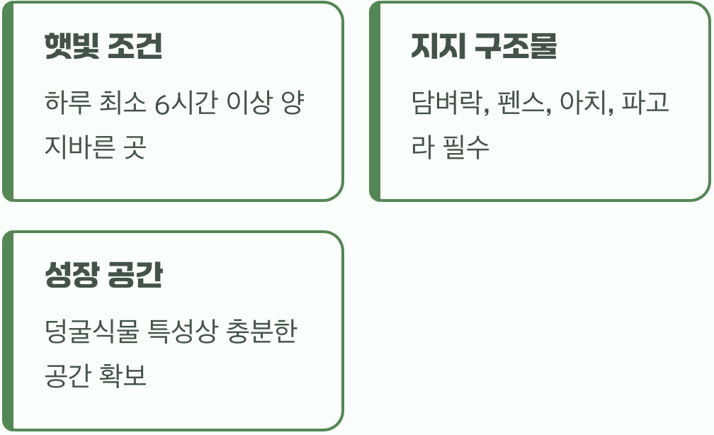 2. 폭포가 시작될 자리 (최적의 장소)
