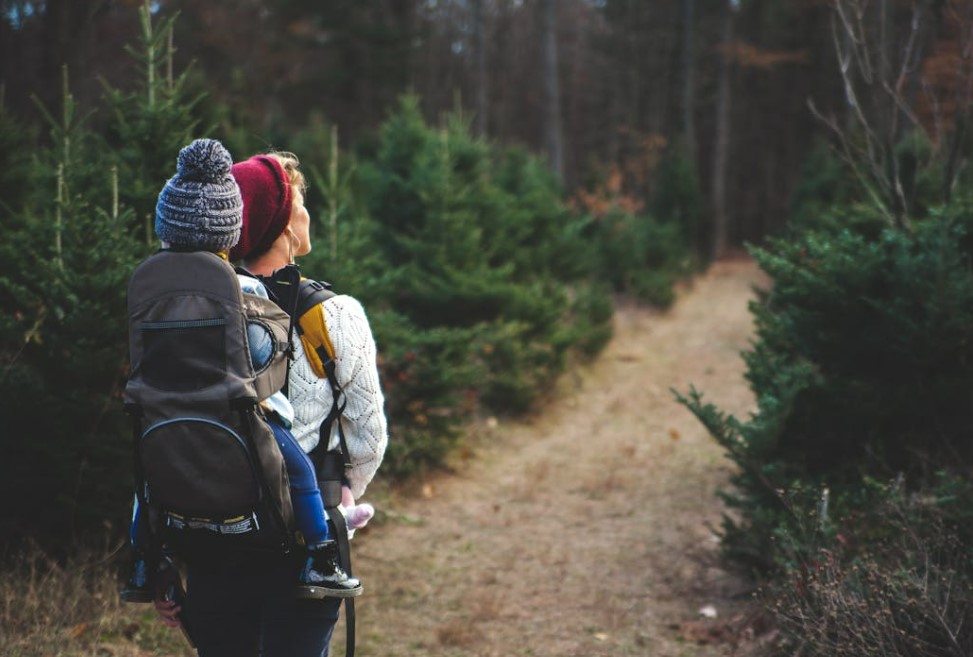 2025 건강보험 피부양자 등록 방법 완벽 정리