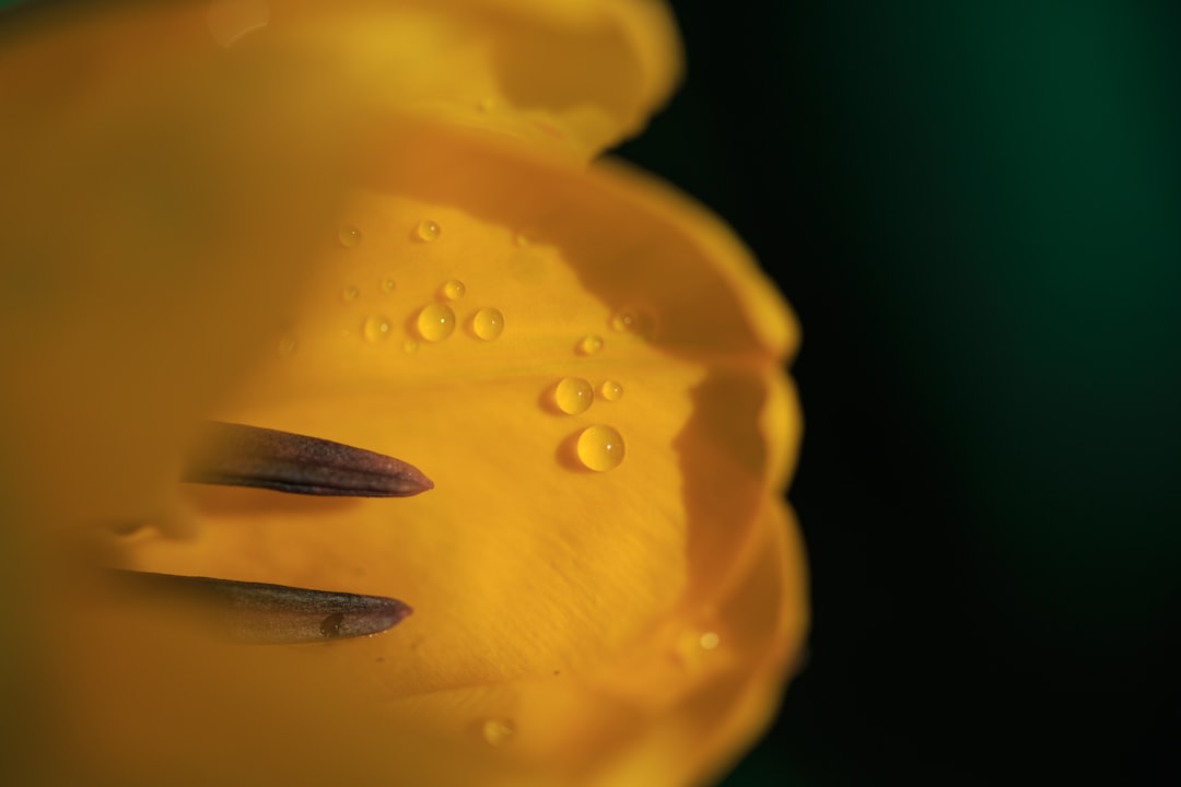 Moisture