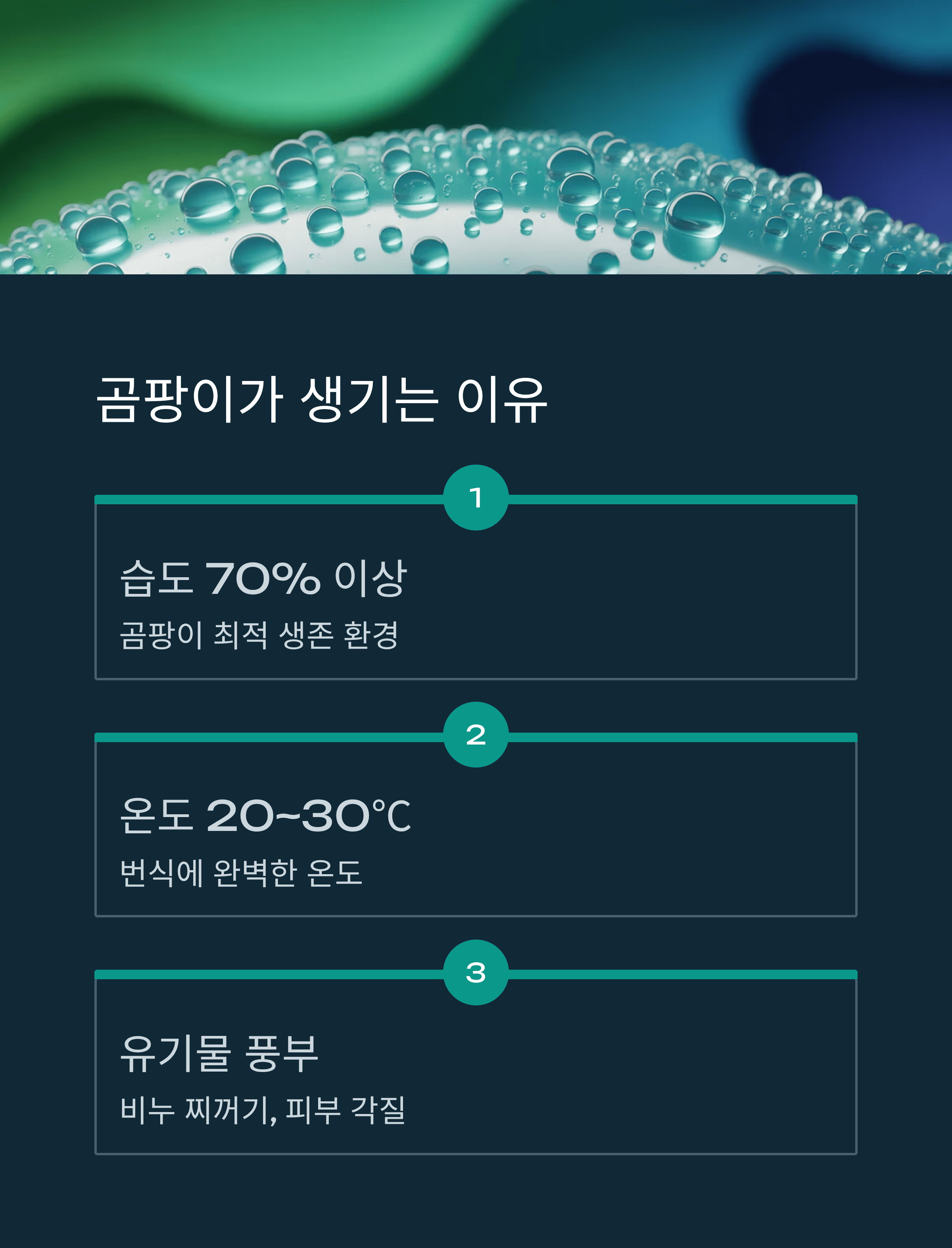 욕실 실리콘 곰팡이 완벽 제거 하는 꿀팁