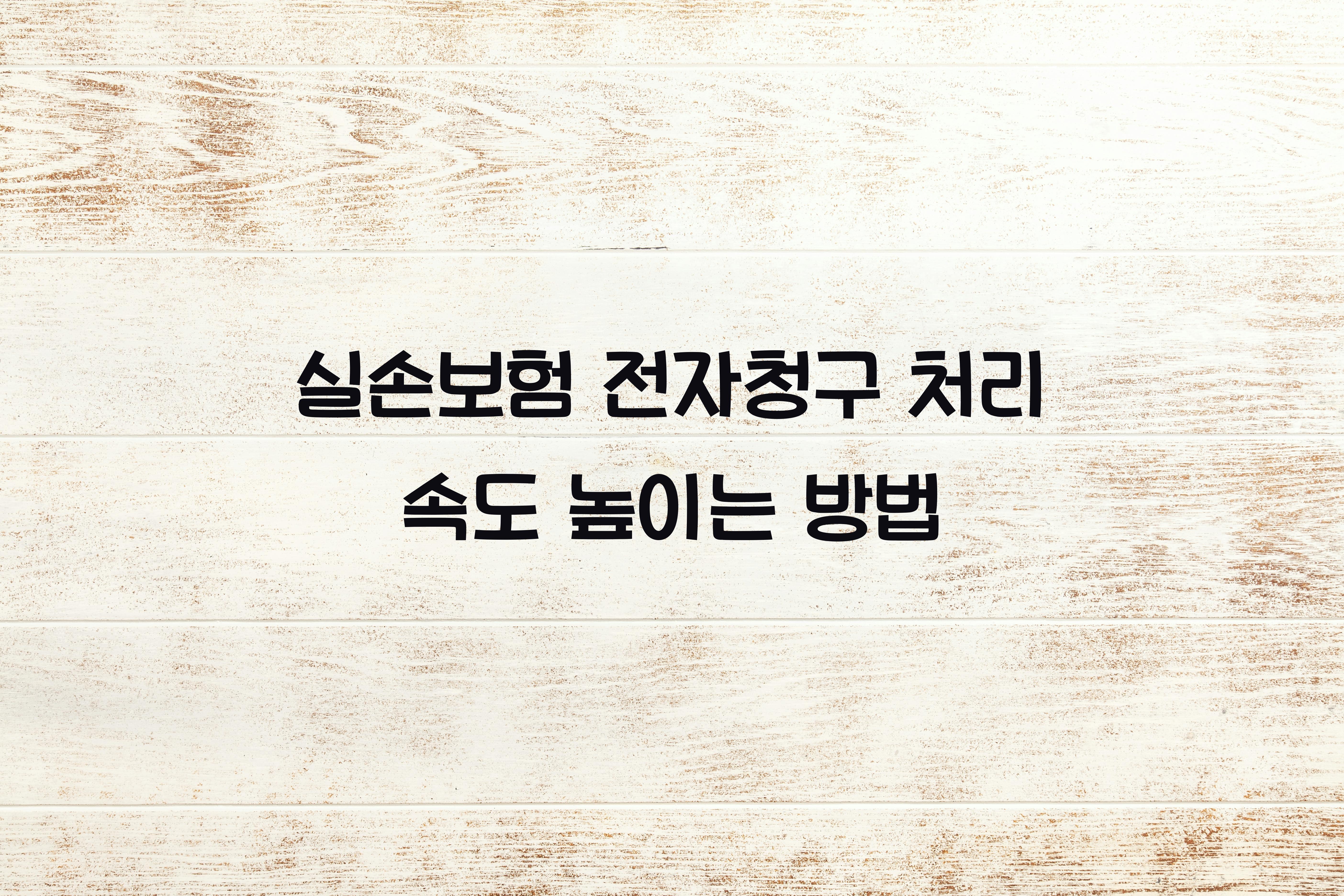 실손보험 전자청구 처리 속도