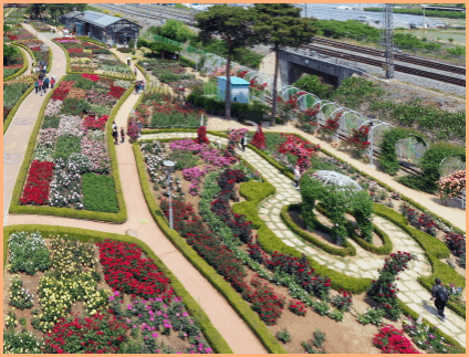 곡성 세계장미축제