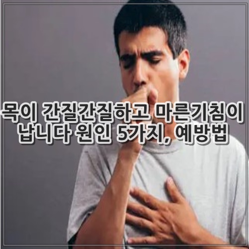 목이 간질간질하고 마른기침이 납니다 원인 5가지, 예방법