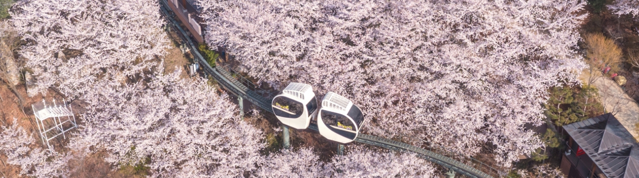 화담숲 주차·대중교통·입장 동선 완벽 정리|처음 가도 안 헤매는 방법