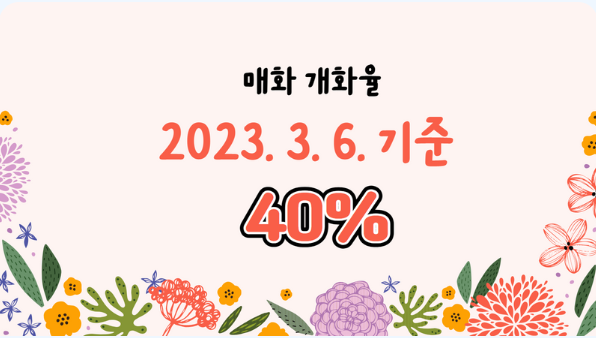 광양 매화축제