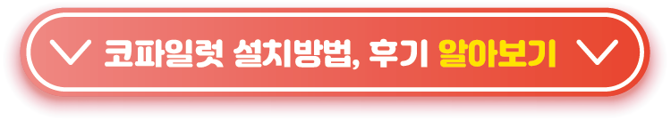 코파일럿-설치방법