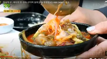 2tv 생생정보산더미물회 장사의 신 8