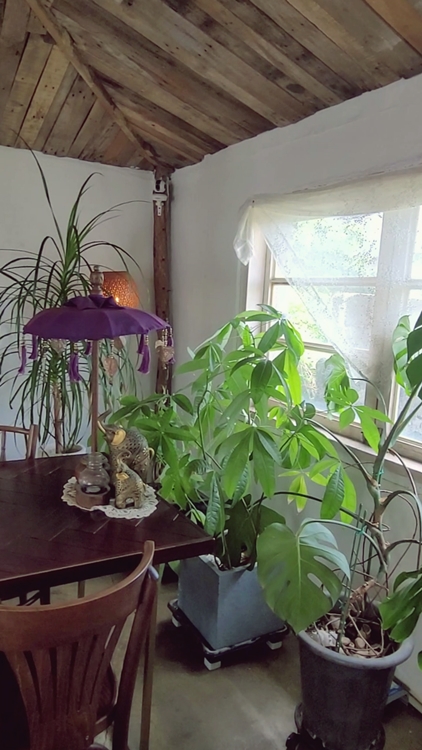 제주-카페패스-구좌-월정리-감성카페-너는파라다이스길리