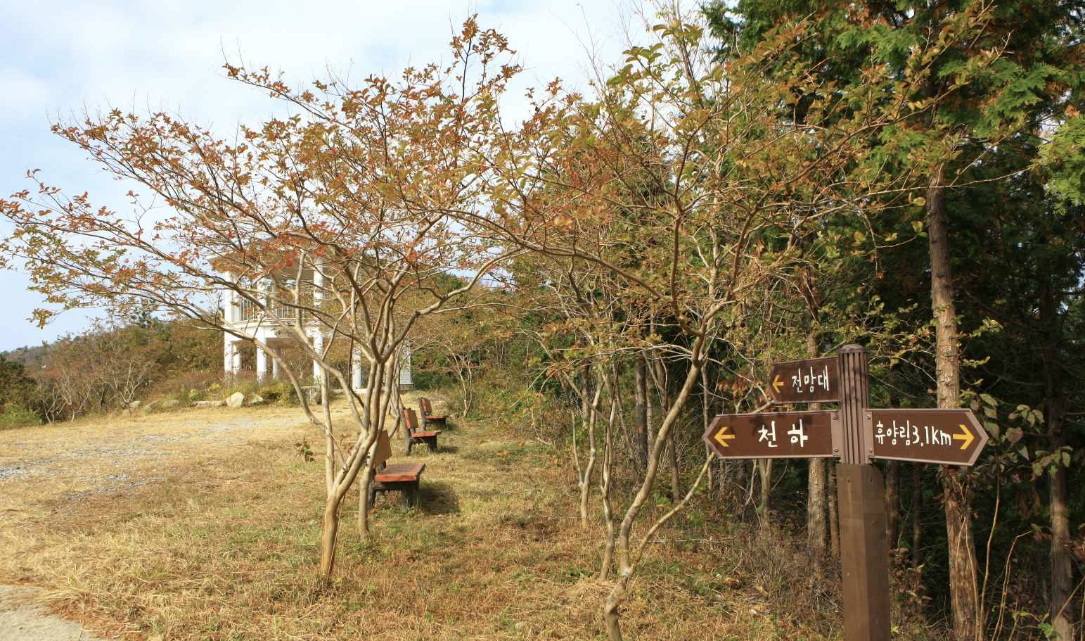 남해편백자연휴양림 전경