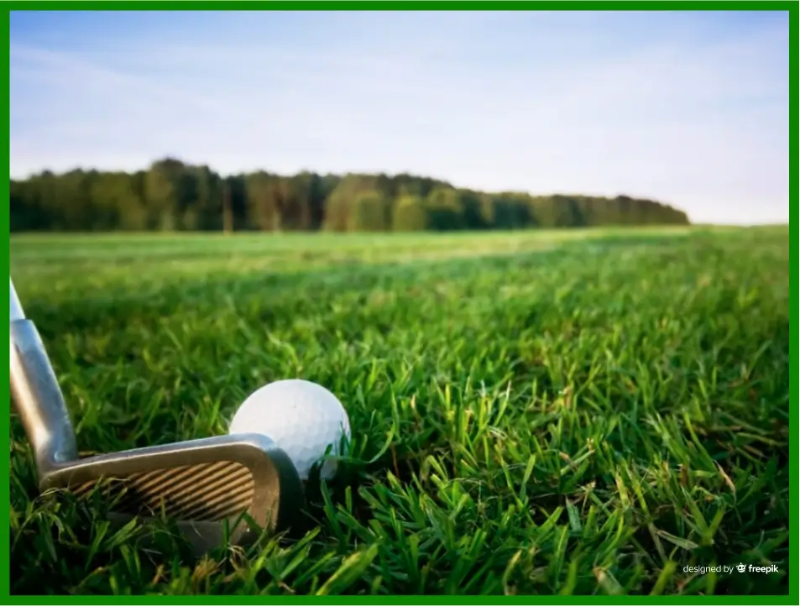 골프-공-채-푸른-초원