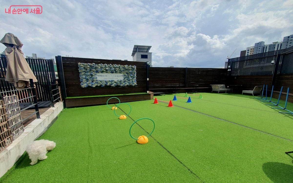 성북구 소재 펫위탁소