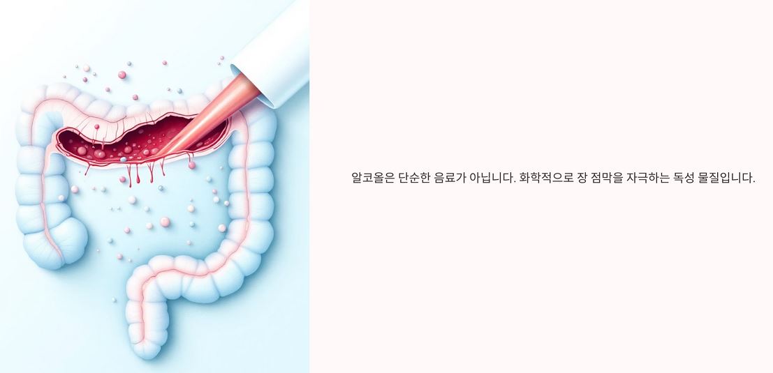 알콜은 단순한 음료가 아니며, 화학적으로 장 점막을 자극하는 독성물질임을 묘사한 이미지