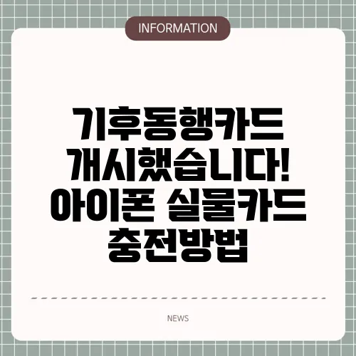 기후동행카드 개시했습니다! 아이폰 실물카드 충전방법