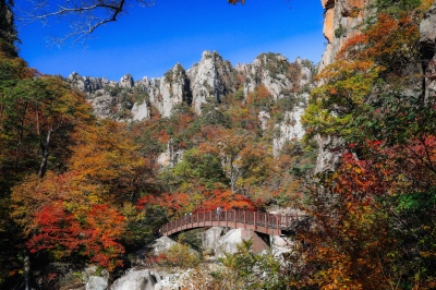 설악산-케이블카-사전-예약-불가!-현장-구매-방법&amp;#44;-요금&amp;#44;-운영시간