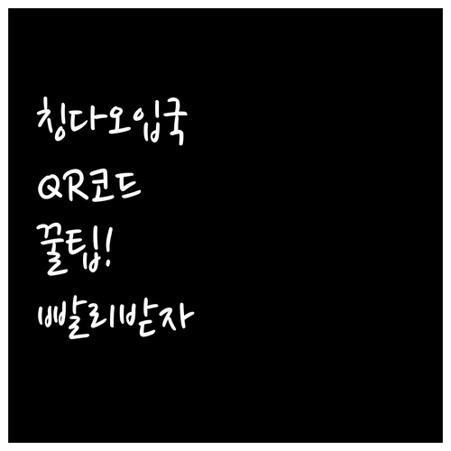 칭다오 입국심사 빠른 통과 QR 코드..