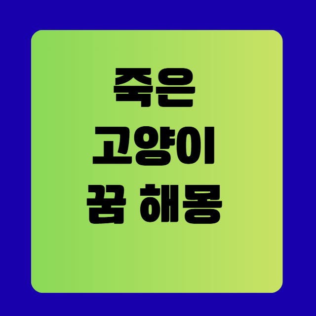 죽은 고양이 꿈 해몽(무료 꿈 해몽 풀이)