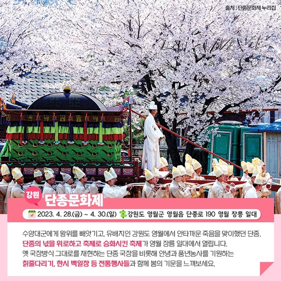 4월 추천 지역 축제