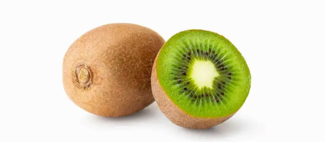 키위 이미지사진