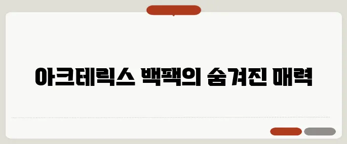 아크테릭스 백팩 정보 꼭 알고 가세요