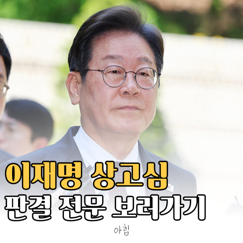 이재명 선거법 위반 상고심 대법원 판결 전문 보기
