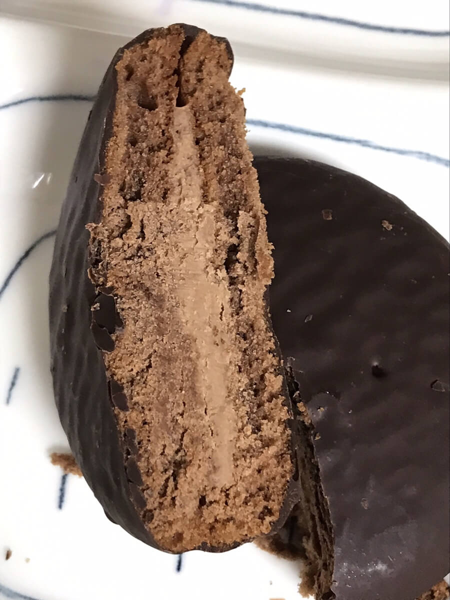 카카오파이 단면