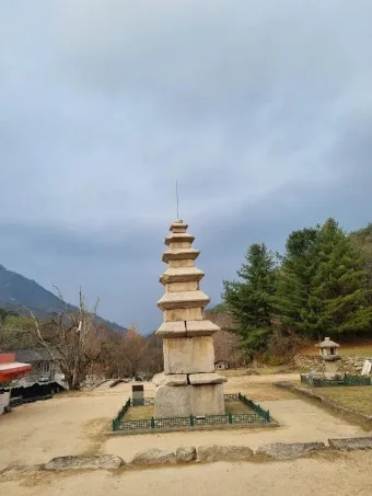 충주 가볼만한곳 베스트10 완벽 관광 가이드_16