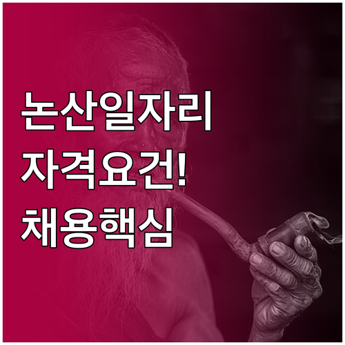 논산 시니어클럽 노인일자리 자격 요건..