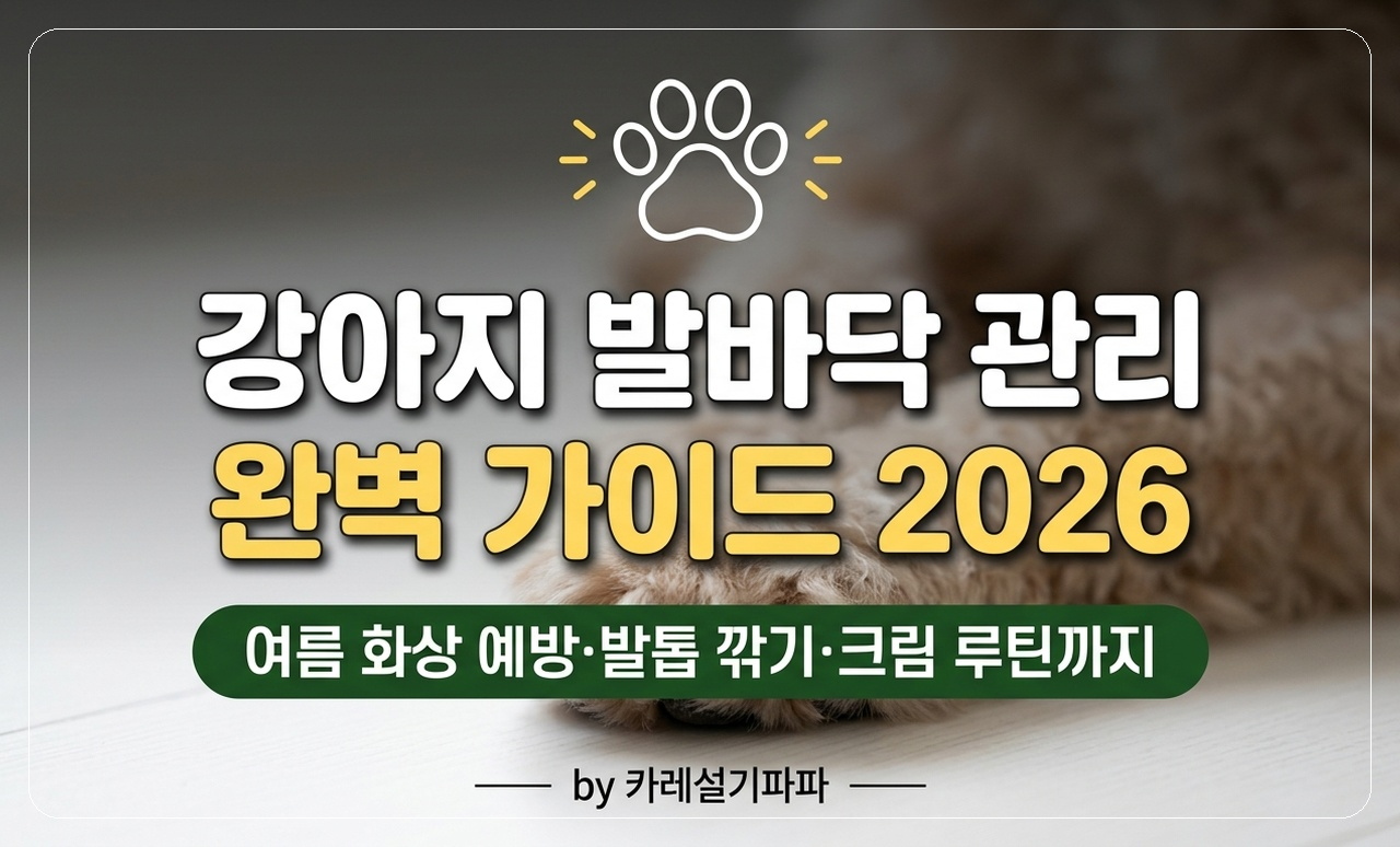 발바닥 관리 썸네일