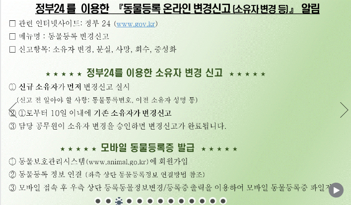 정부24-모바일-동물등록증-전자지갑으로-발급하는-기능-도입
