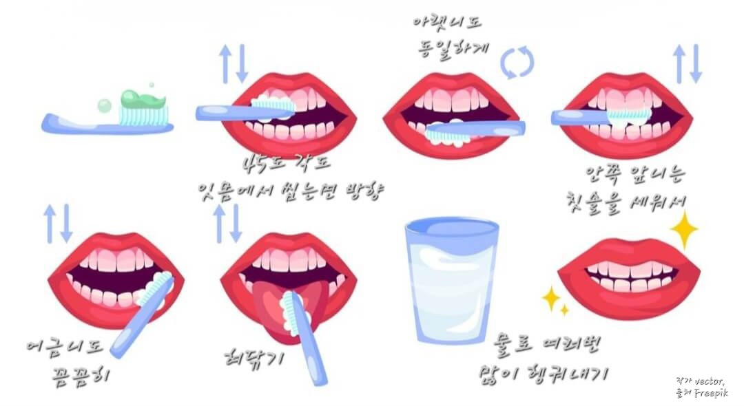 칫솔질법