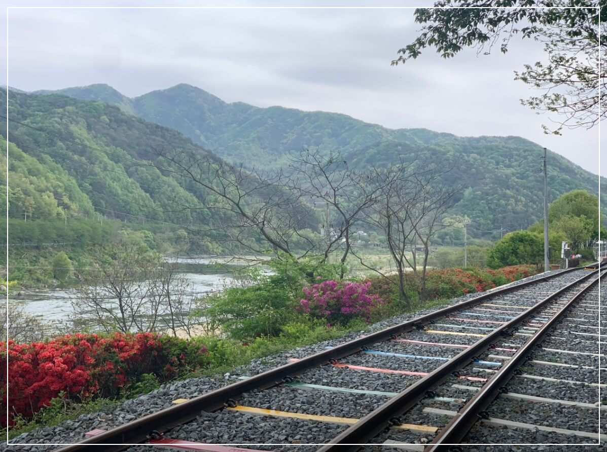 곡성 가볼만한곳 베스트10 섬진강 레일바이크