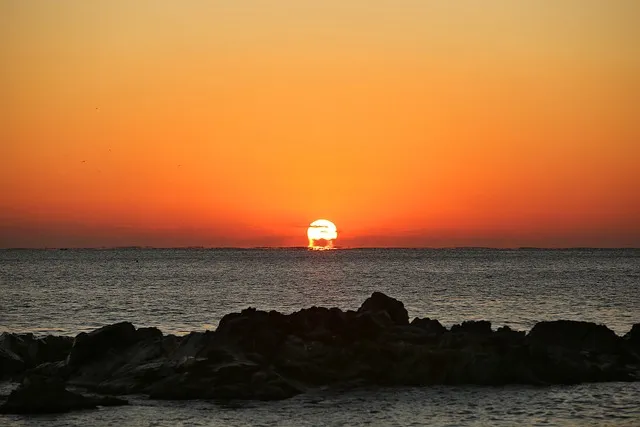 동해산타열차 시간표 예매가능한 날 가격_5