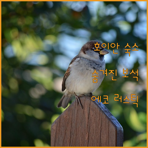 에코 & 러스틱 홈 호이안! 숨겨진 ..