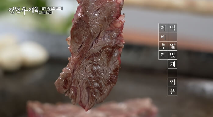 한우속숨은보물제비추리