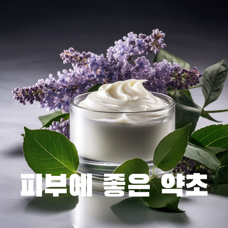 피부에 좋은 약초