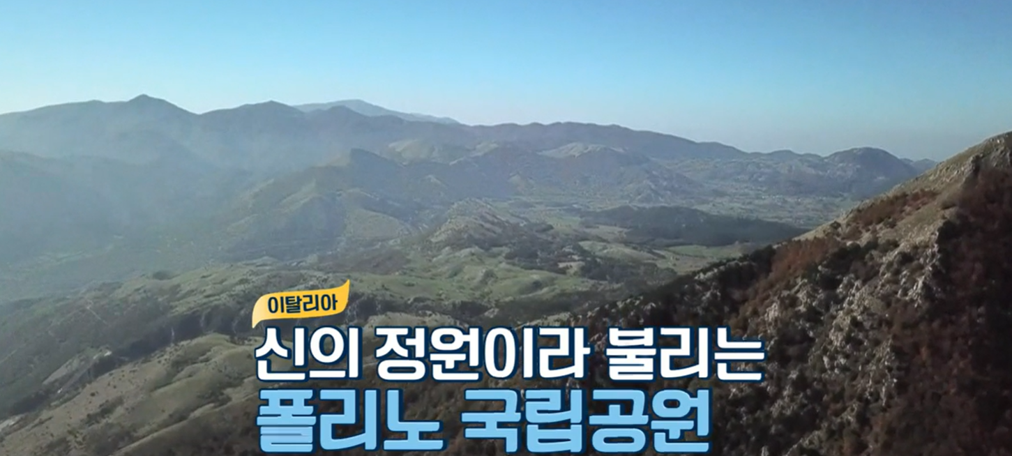 아누카사과분말