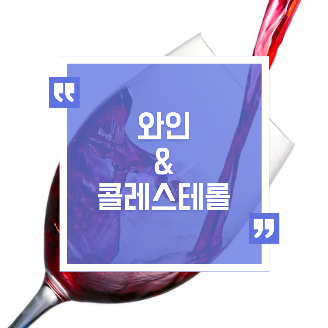 와인, 콜레스테롤