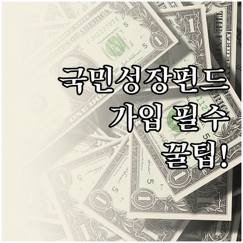국민성장펀드 가입 절차와 필수 준비 ..