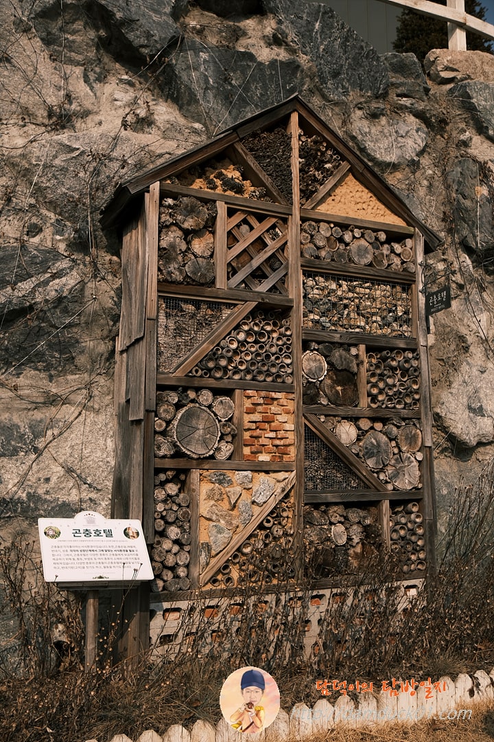 곤충호텔