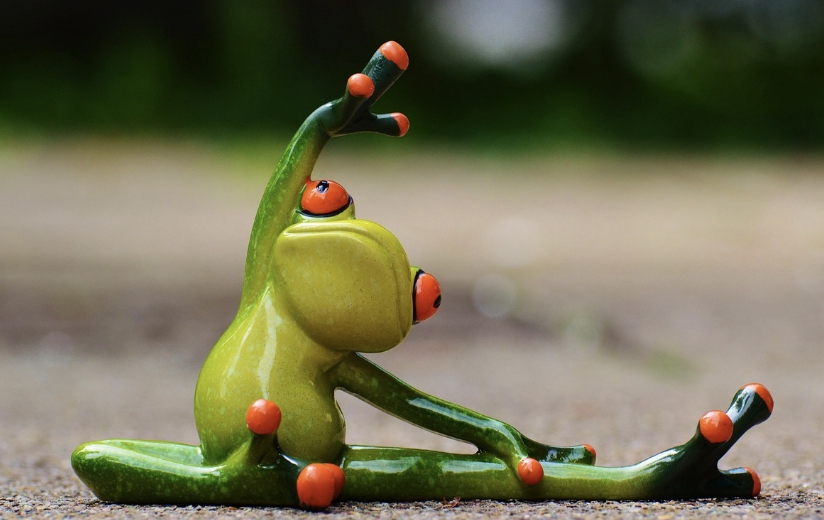 저속 노화 운동 스트레칭