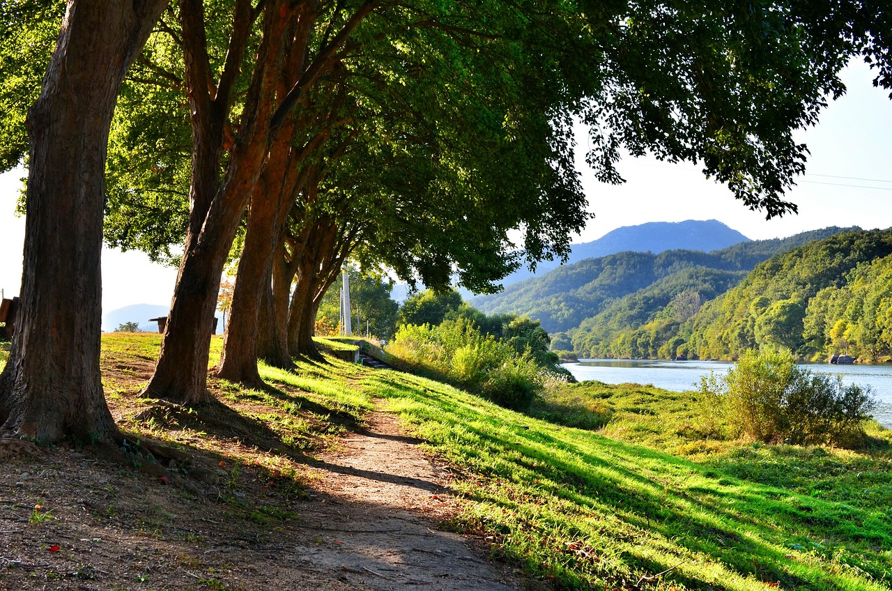 금강 관련 사진