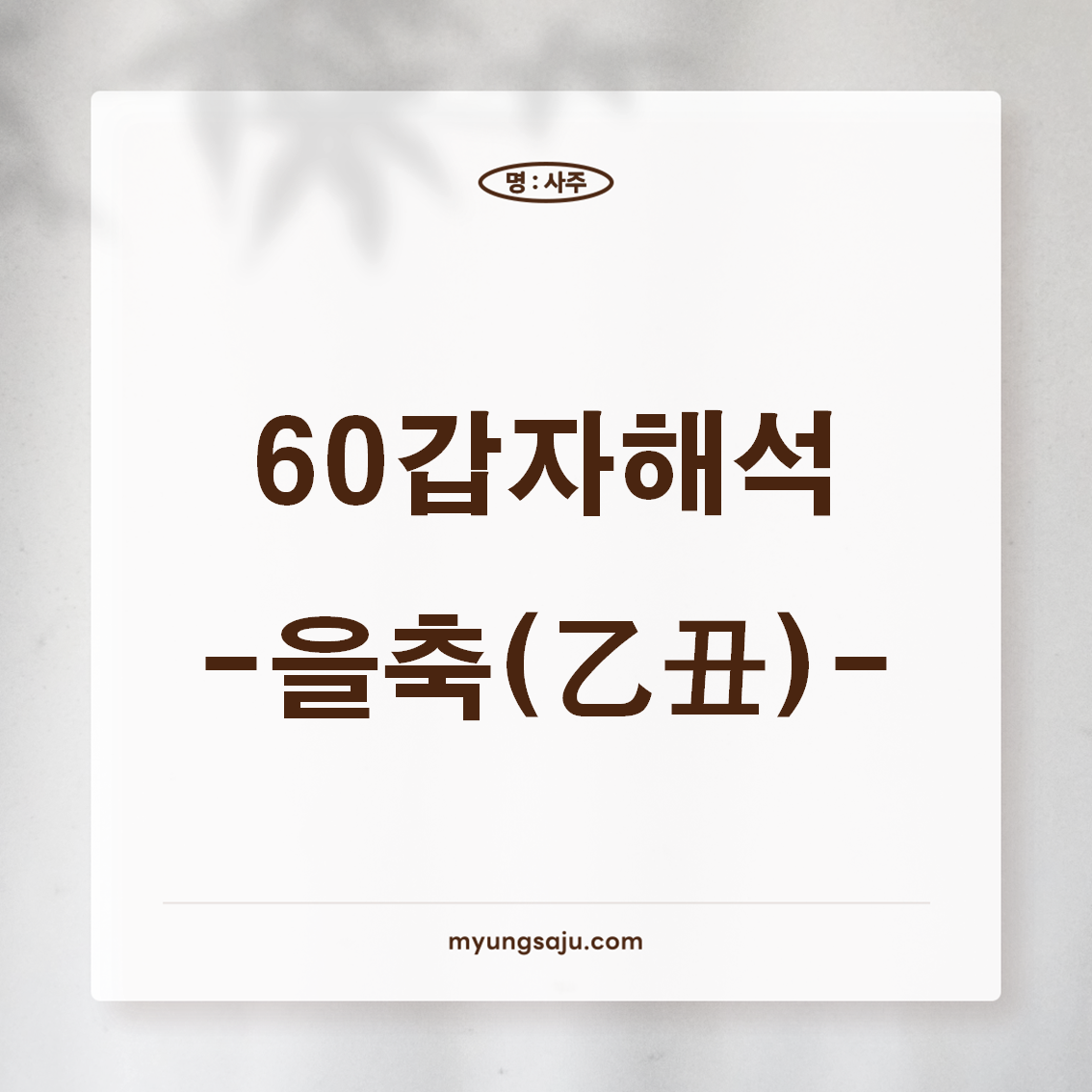 육십갑자 해석 (60갑자) - 을축일주, 을축년주, 을축시주, 을축월주, 을축대운, 을축세운, 을축일운