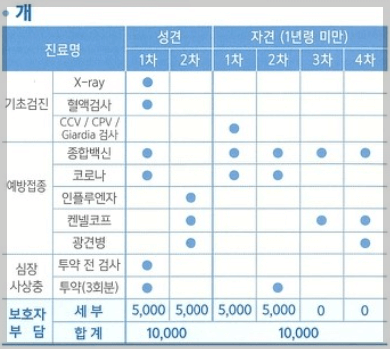 반려동물 의료비 지원 강아지