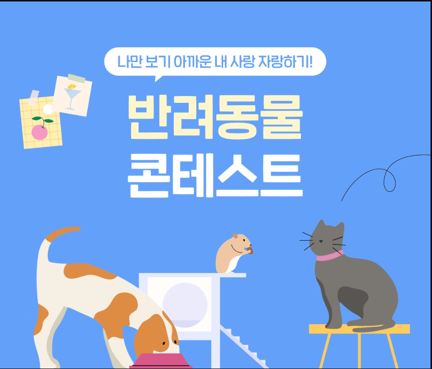 오늘의집 반려동물콘테스트 상금 5만원
