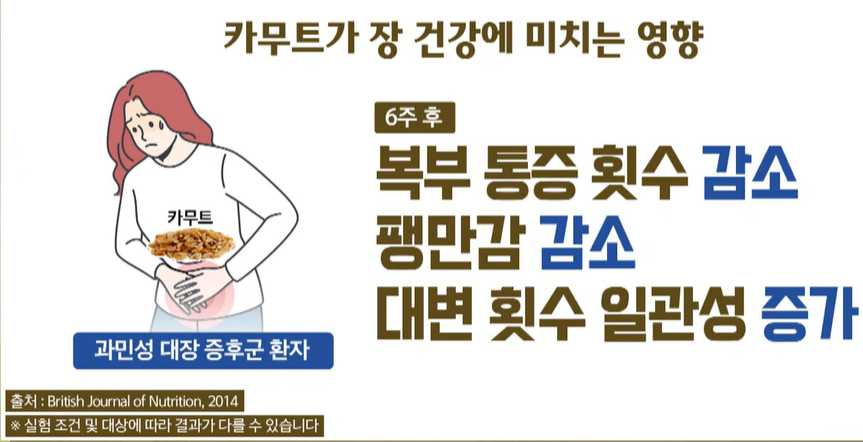 카무트 효능
