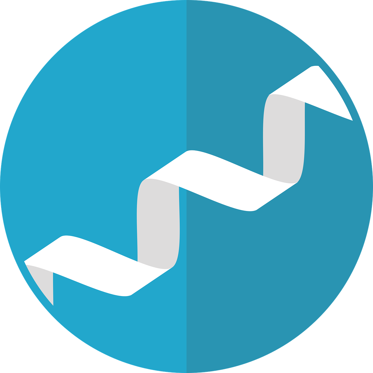 단백질 섭취가 중요한 이유